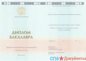 Диплом бакалавра 2004-2009